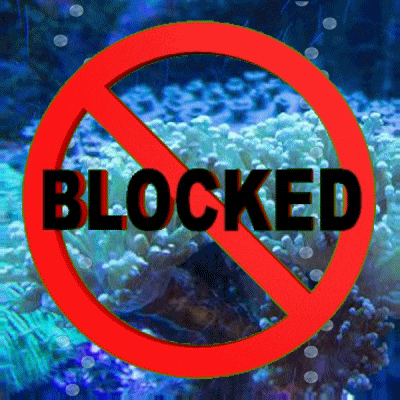 Content editors locked out of Liferay