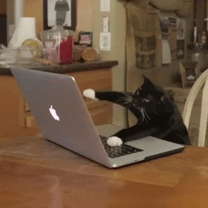 Content editor after Umbraco migration to WordPress